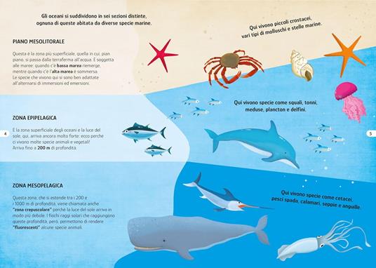 Il mare. Viaggia, conosci, esplora. Con puzzle. Con Poster - Matteo Gaule,Giulia Pesavento - 4