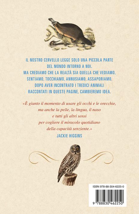 Senzienti. Quello che gli animali ci svelano di noi stessi - Jackie Higgins - 4