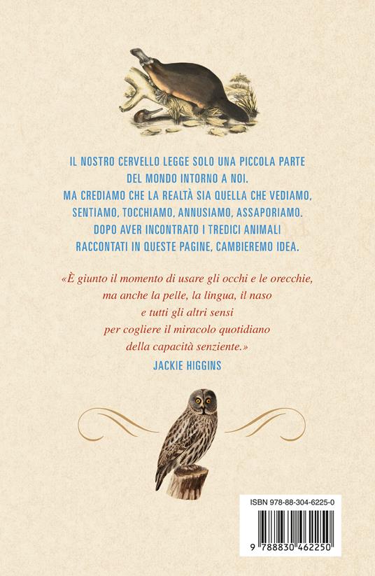 Senzienti. Quello che gli animali ci svelano di noi stessi - Jackie Higgins - 4