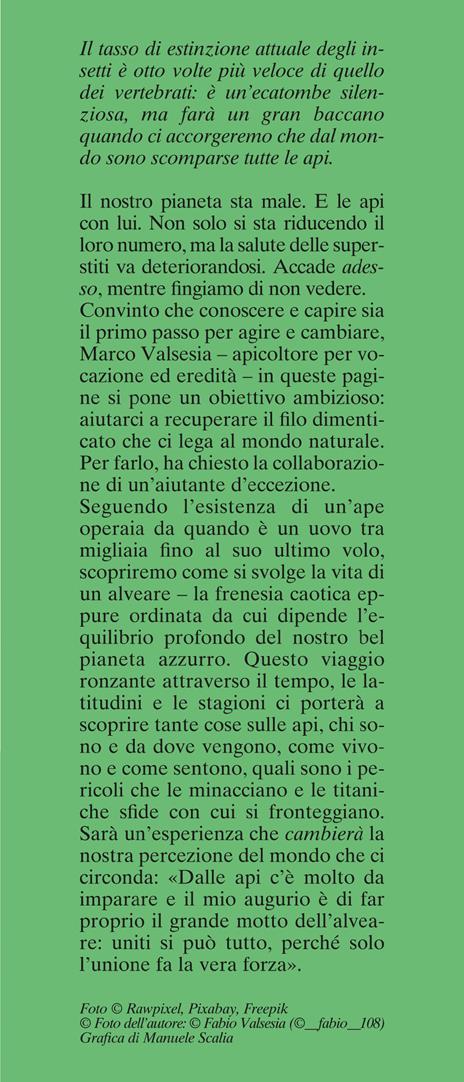 Un mondo senza api. Breve storia di un disastro annunciato e tentativi di resistenza - Marco Valsesia - 2