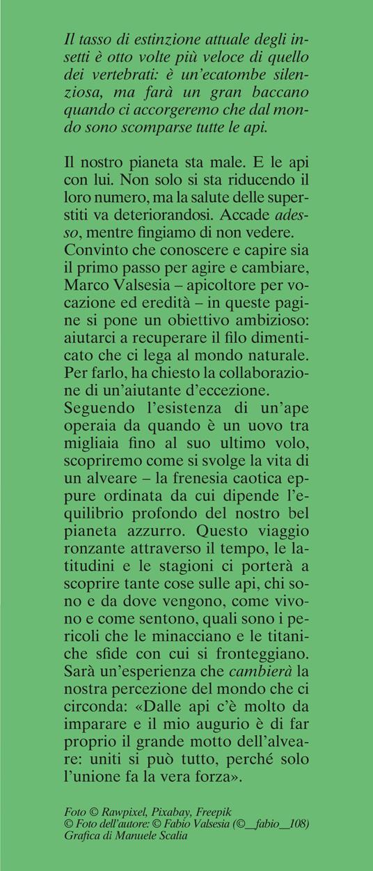 Un mondo senza api. Breve storia di un disastro annunciato e tentativi di resistenza - Marco Valsesia - 2