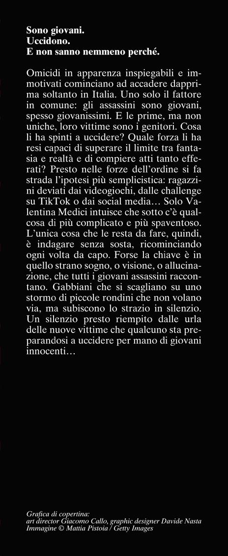 Il silenzio delle rondini - Marco De Franchi - 3