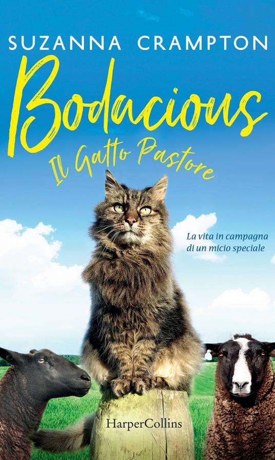 Bodacious. Il gatto pastore - Suzanna Crampton,Sara Benatti - ebook
