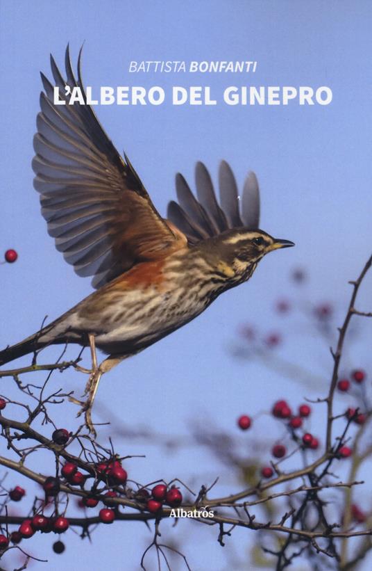 L' albero del ginepro - Battista Bonfanti - copertina