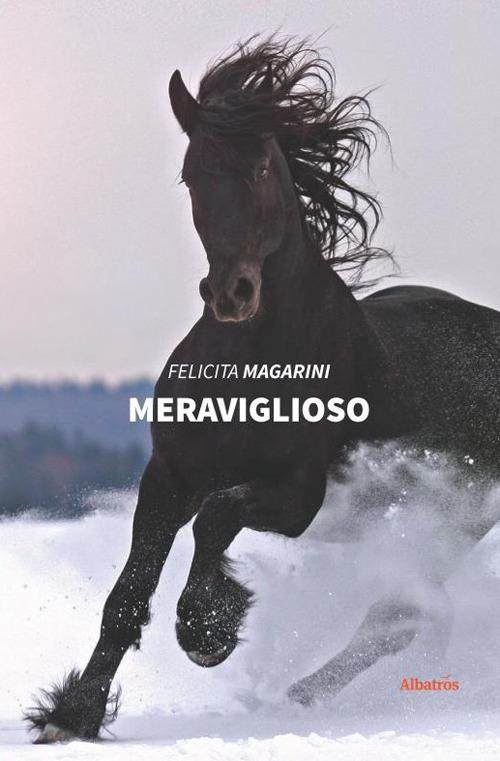 Meraviglioso - Felicita Magarini - copertina