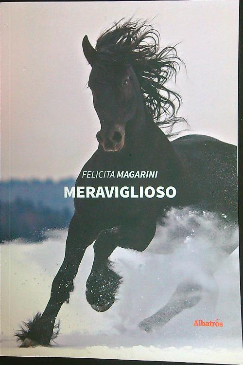 Meraviglioso