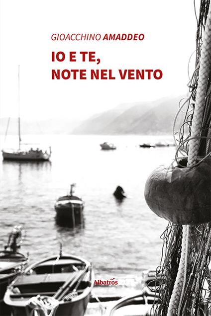 Io e te, note nel vento - Gioacchino Amaddeo - copertina