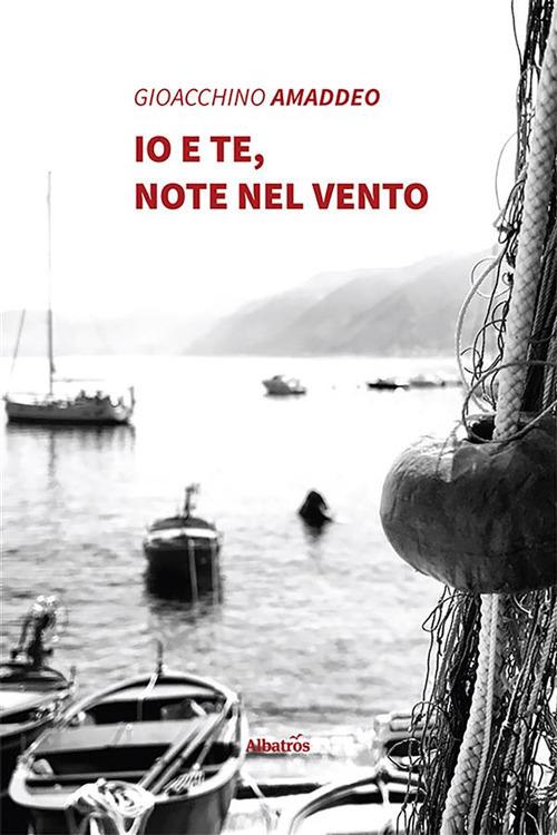 Io e te, note nel vento - Gioacchino Amaddeo - ebook
