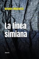 Nome prodotto