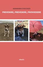 Prevenire, prevedere, provvedere
