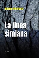 Nome prodotto