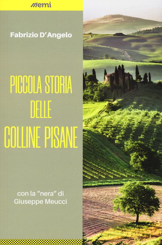 Piccola storia delle colline pisane - Fabrizio D'Angelo - copertina