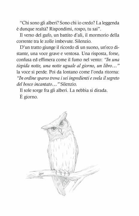 Gli incantevoli giorni di Shirley. Fairy Oak. Nuova ediz.. Vol. 5 - Elisabetta Gnone - 7
