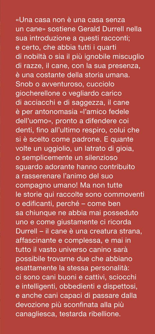 Le più belle storie di cani - Lesley O'Mara - 2