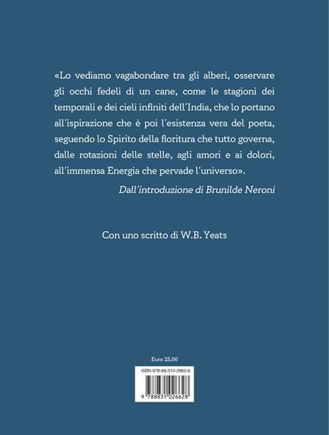 Dall'erba dei campi alle stelle del cielo - Rabindranath Tagore - 2