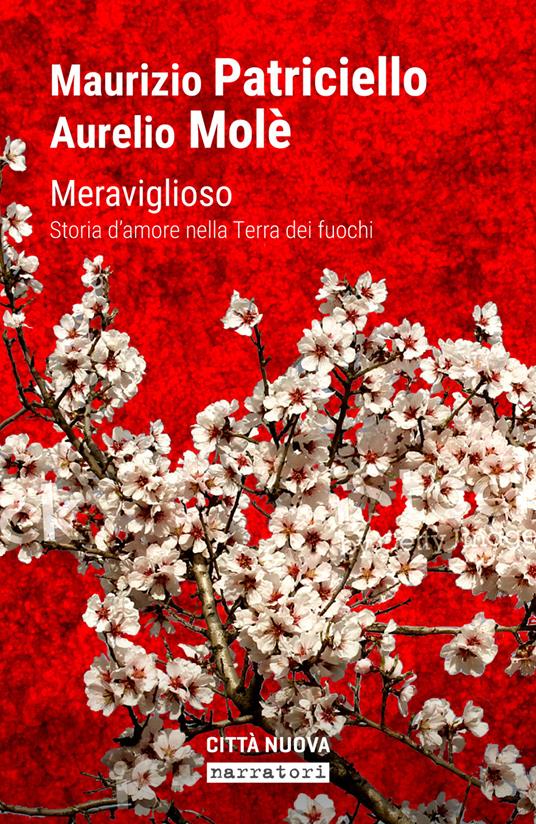 Meraviglioso. Storia d'amore nella «terra dei fuochi» - Maurizio Patriciello,A. Mole - copertina