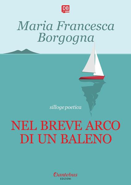 Nel breve arco di un baleno - Maria Francesca Borgogna - ebook