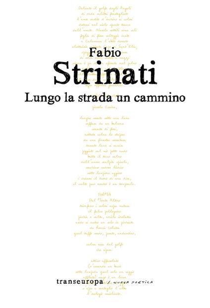 Lungo la strada un cammino - Fabio Strinati - copertina