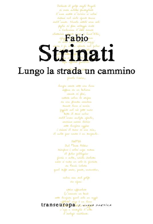 Lungo la strada un cammino - Fabio Strinati - copertina