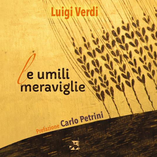 Le umili meraviglie - Luigi Verdi - copertina