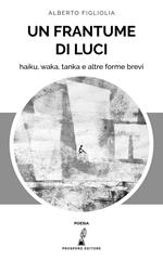 Un frantume di luci. Haiku, waka, tanka e altre forme brevi