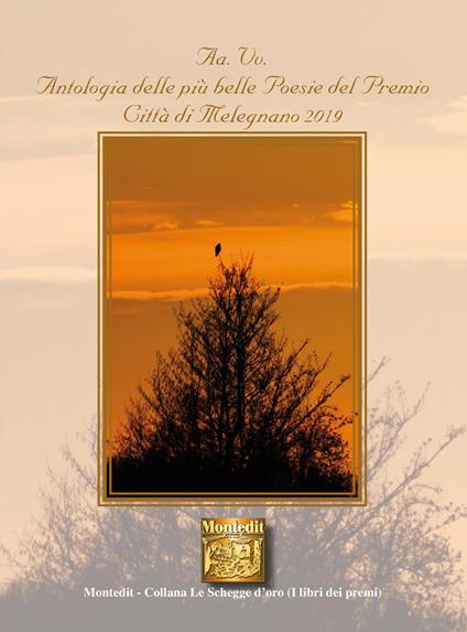 Antologia delle più belle poesie del premio Città di Melegnano 2019 - copertina