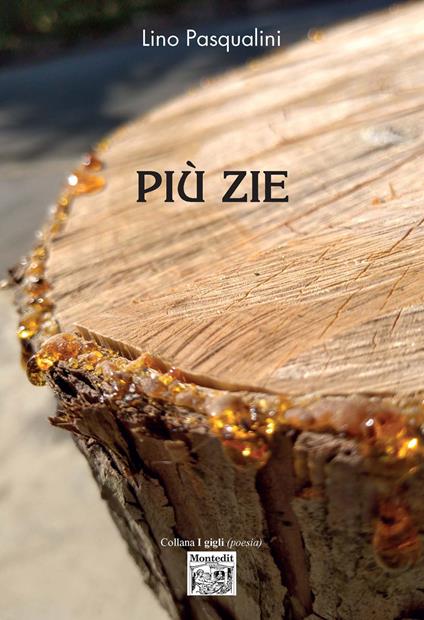 Più zie - Lino Pasqualini - copertina