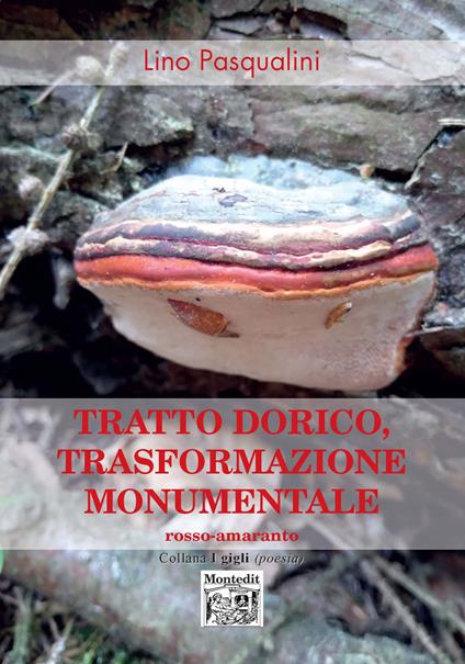 Tratto dorico, trasformazione monumentale - Lino Pasqualini - copertina