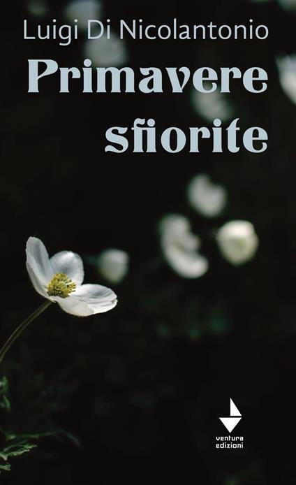 Primavere sfiorite - Luigi Di Nicolantonio - copertina