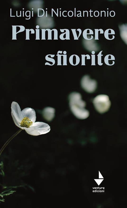 Primavere sfiorite - Luigi Di Nicolantonio - copertina