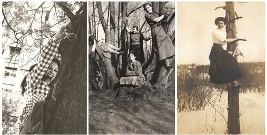 Io non scendo. Storie di donne che salgono sugli alberi e guardano lontano - 2