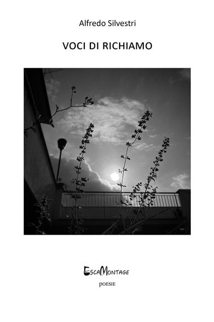 Voci di richiamo - Alfredo Silvestri - copertina