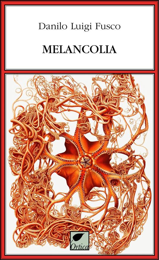 Melancolia - Danilo Luigi Fusco - copertina