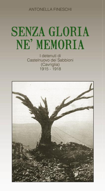 Senza gloria né memoria. I detenuti di Castelnuovo dei Sabbioni (Cavriglia) 1915-1918 - Antonella Fineschi - copertina
