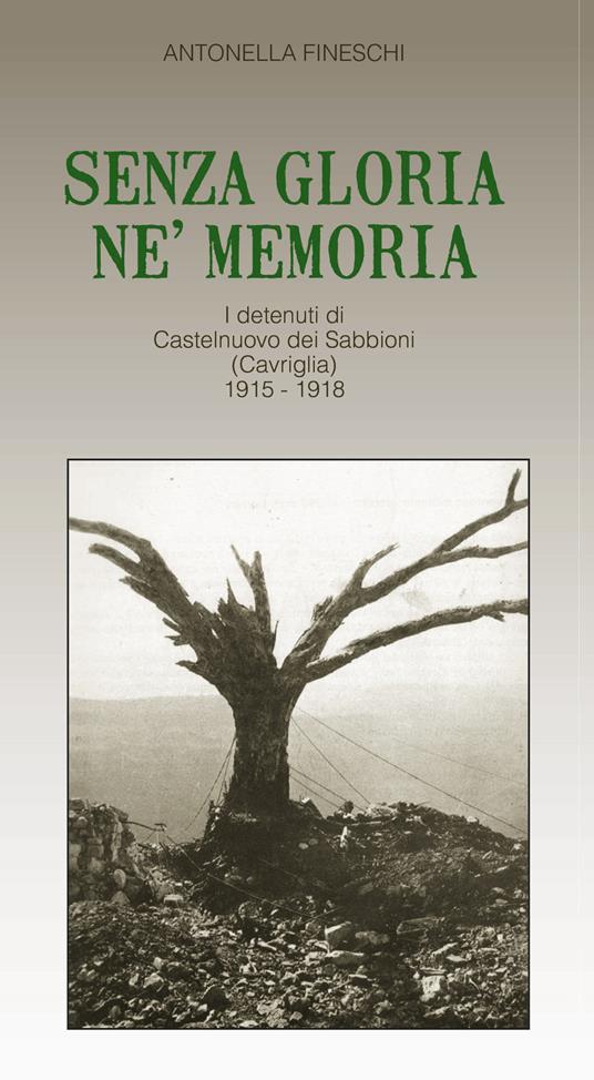 Senza gloria né memoria. I detenuti di Castelnuovo dei Sabbioni (Cavriglia) 1915-1918 - Antonella Fineschi - copertina