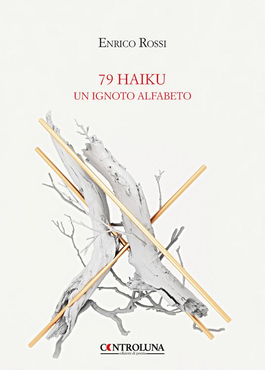 79 haiku. Un ignoto alfabeto - Enrico Rossi - copertina