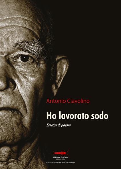 Ho lavorato sodo. Esercizi di poesia - Antonio Ciavolino - copertina