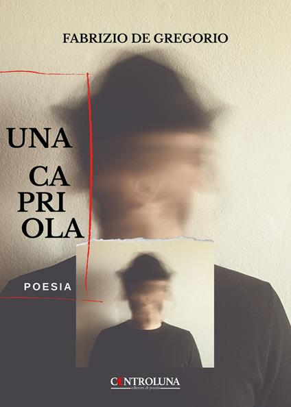 Una capriola - Fabrizio De Gregorio - copertina