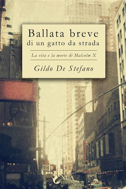 Ballata breve di un gatto da strada. La vita e la morte di Malcolm X - Gildo De Stefano - ebook
