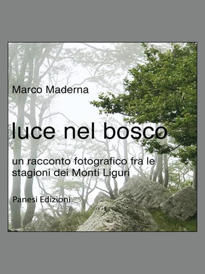 Luce nel bosco - Marco Maderna - ebook