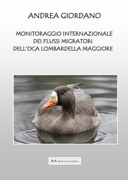 Monitoraggio Internazionale dei flussi migratori dell'oca Lombardella Maggiore - Andrea Giordano - copertina