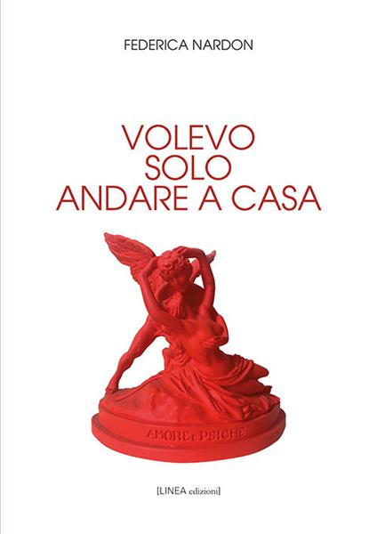 Volevo solo andare a casa - Federica Nardon - copertina
