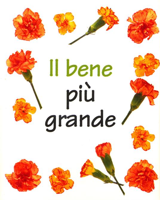 Il bene più grande - copertina