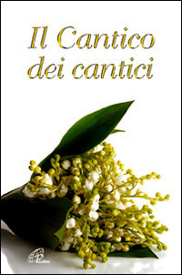 Libreria La Cometa