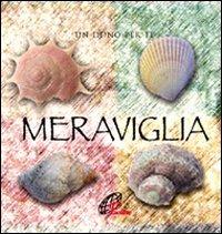 Meraviglia. Un dono per te. Ediz. illustrata. Con gadget - copertina