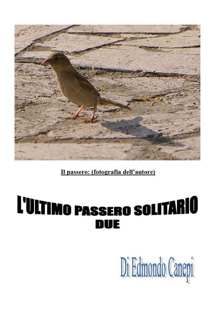 L' ultimo passero solitario - Edmondo Canepi - copertina