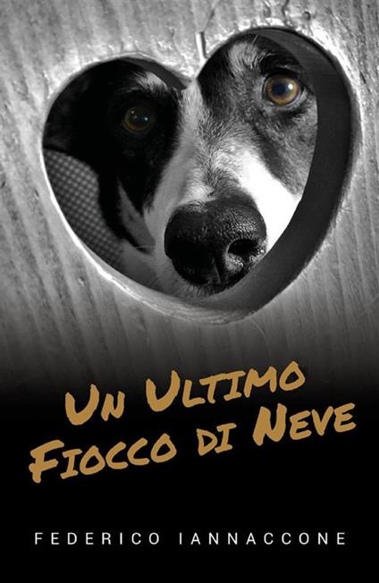 Un ultimo fiocco di neve - Federico Iannaccone - ebook