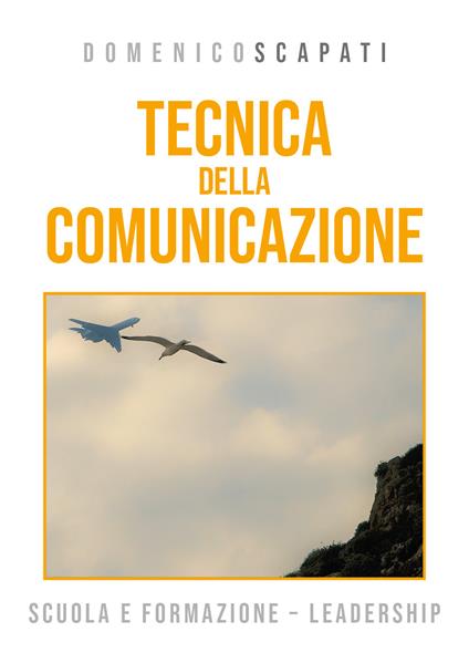 Tecnica della comunicazione - Domenico Scapati - copertina