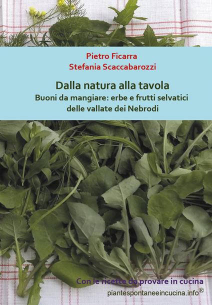 Dalla natura alla tavola. Buoni da mangiare: erbe e frutti selvatici delle vallate dei Nebrodi - Pietro Ficarra,Stefania Scaccabarozzi - copertina