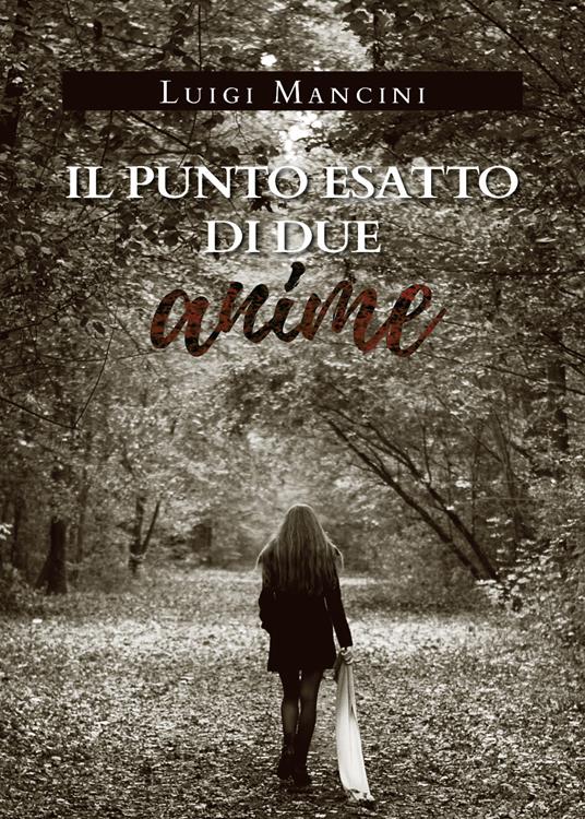 Il punto esatto di due anime - Luigi Mancini - copertina